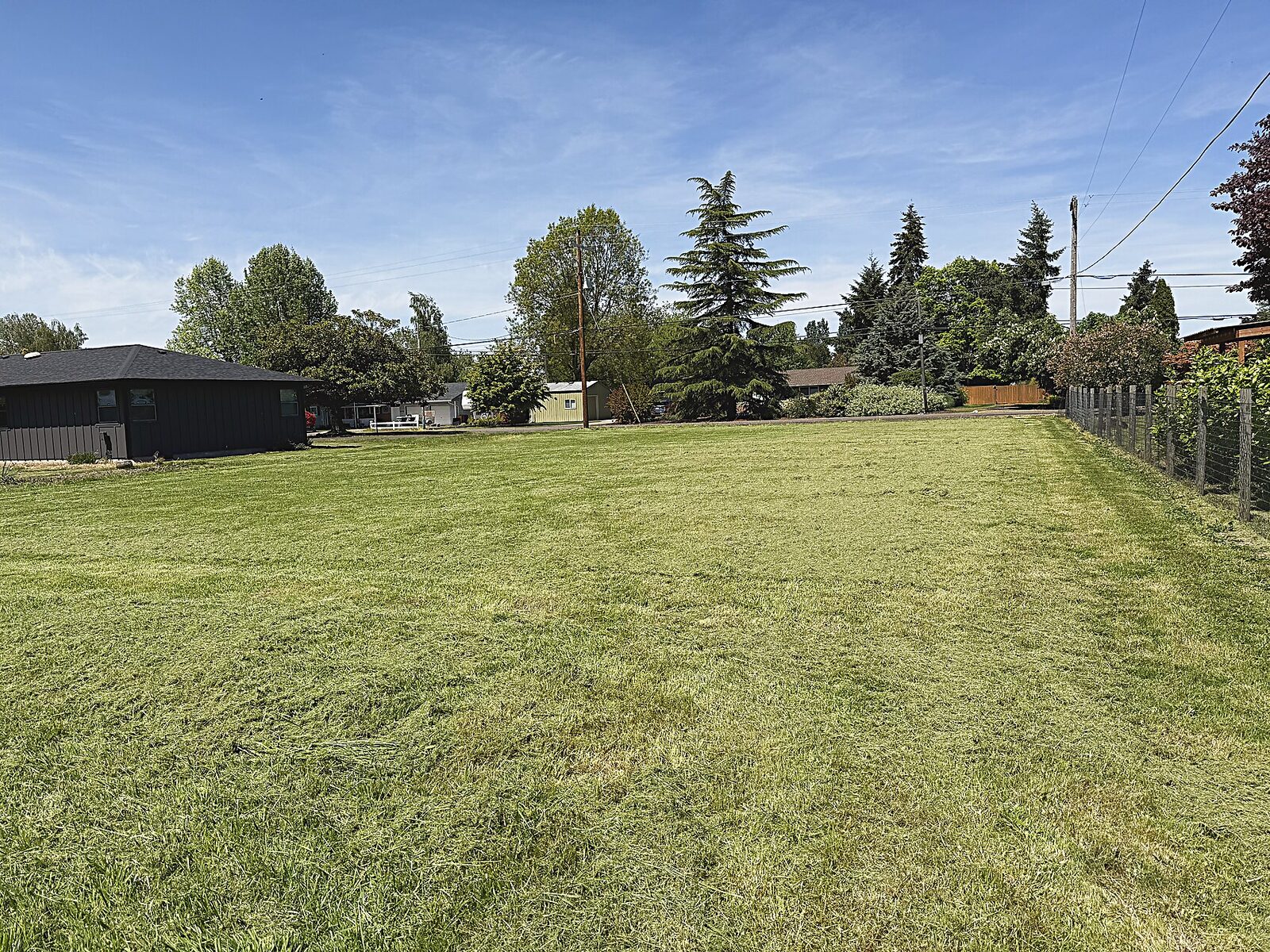 Mowed, clean lawn