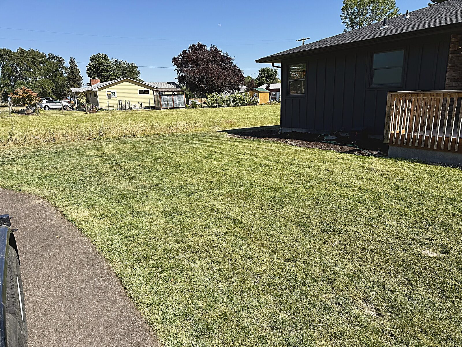 Clean green lawn
