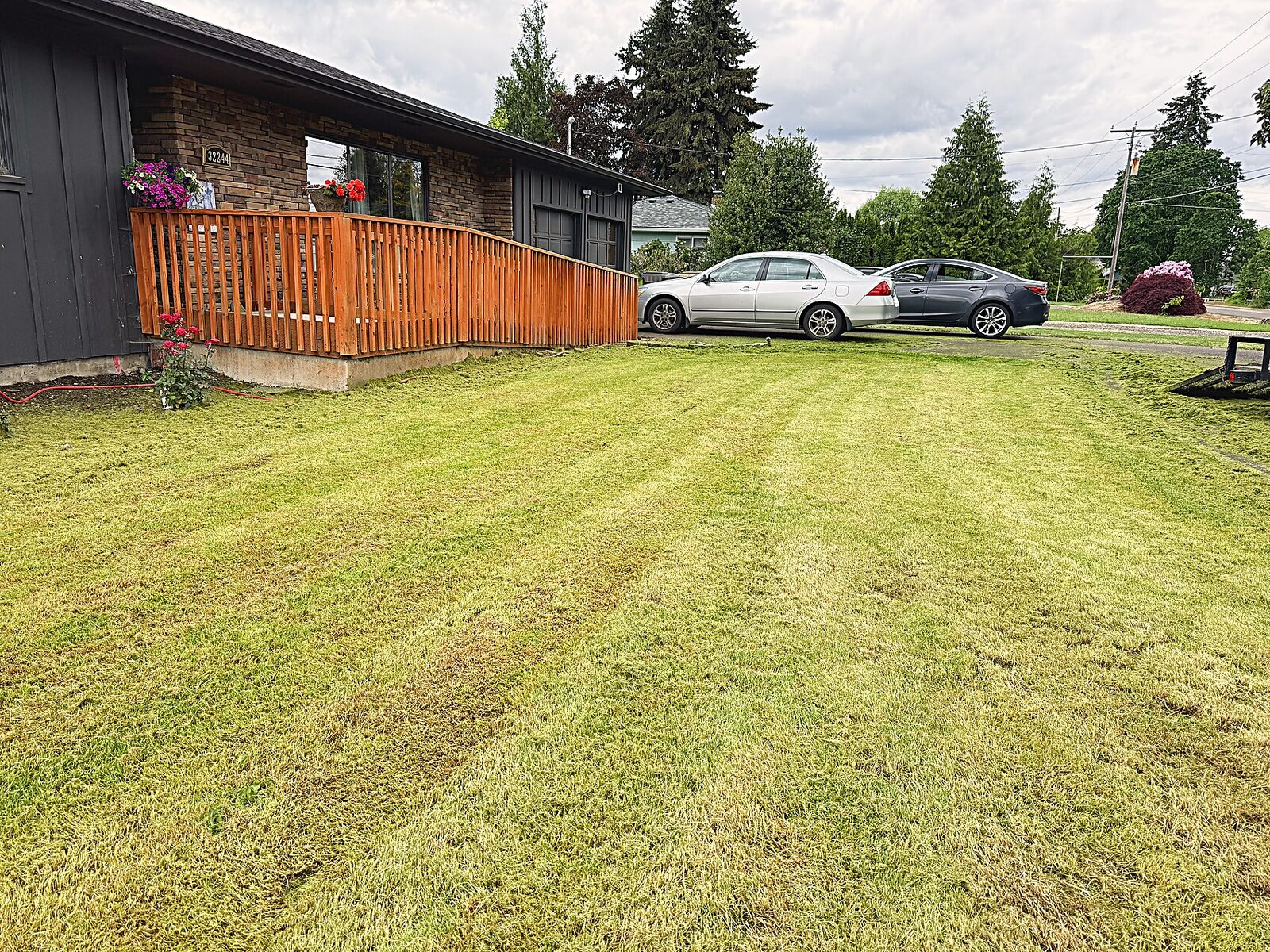 Striped lawn