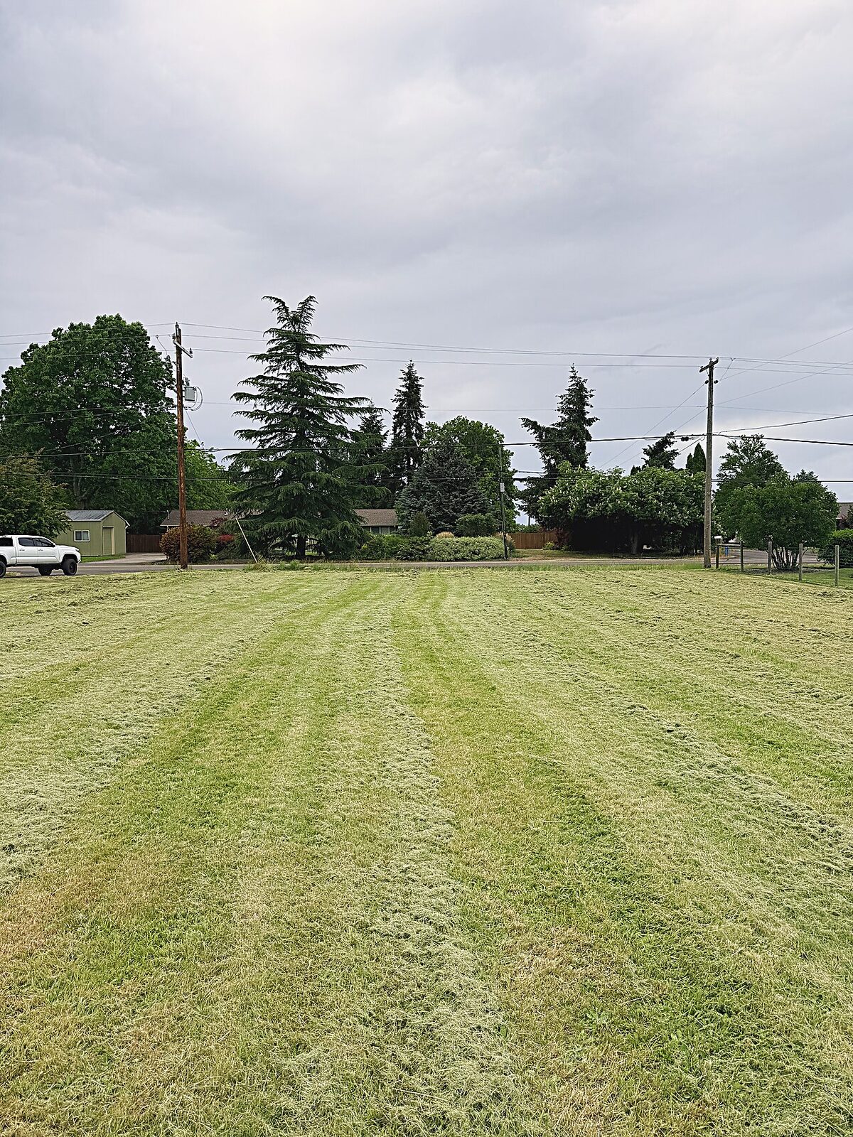 Striped lawn