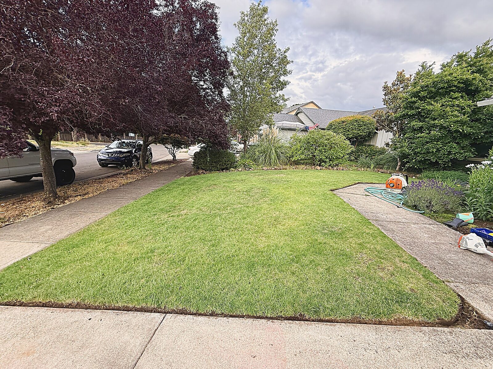 Manicured hedge and lawn