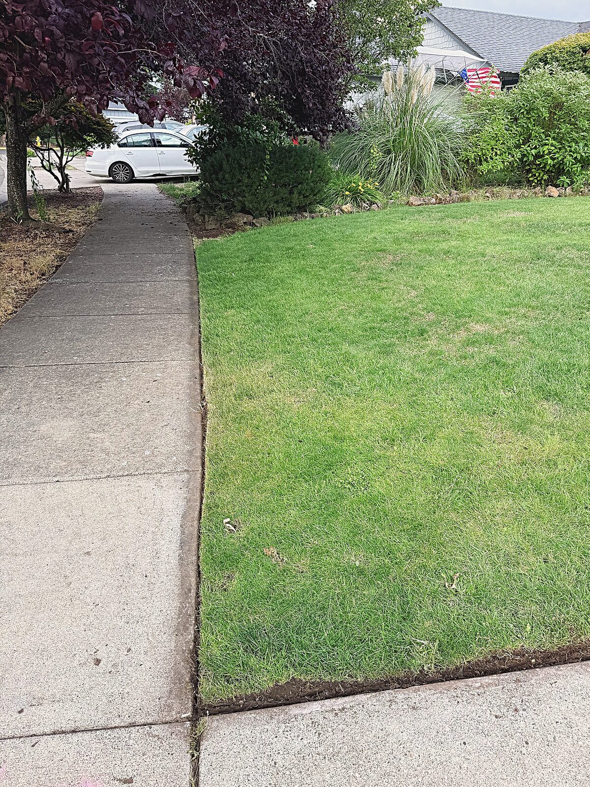 Trimmed lawn and walkway