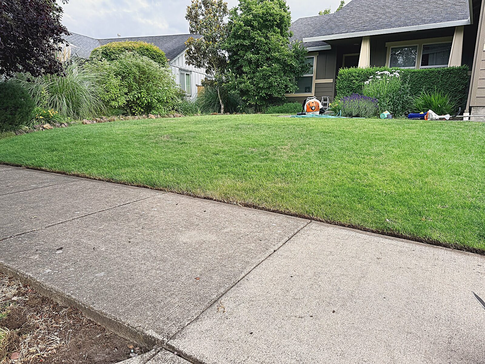 Green lawn and walkway