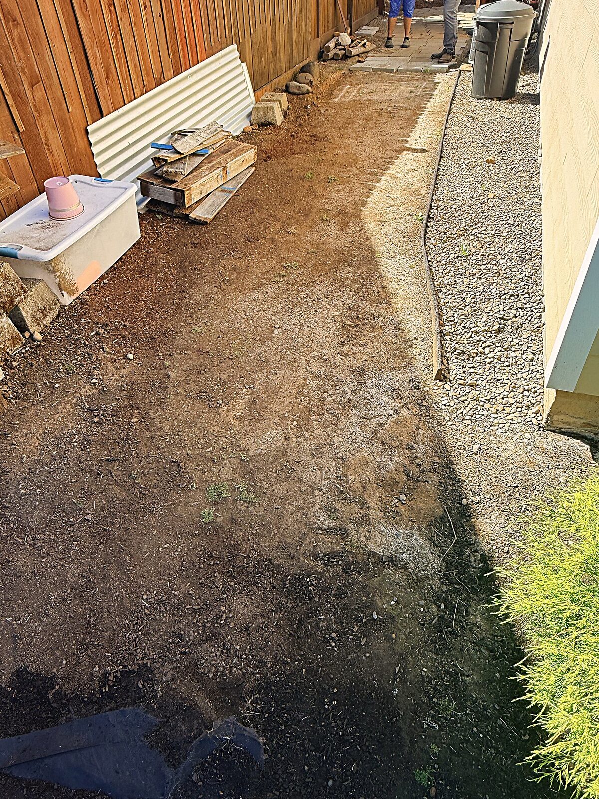 Before — bare ground